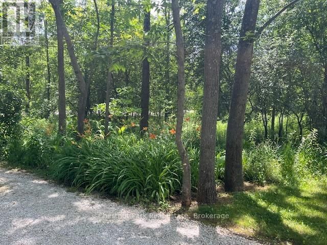 156 HARBOUR BEACH DRIVE Image 34