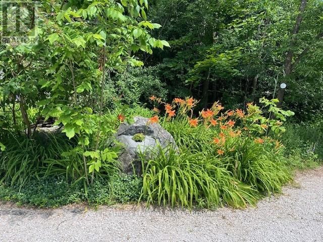 156 HARBOUR BEACH DRIVE Image 35