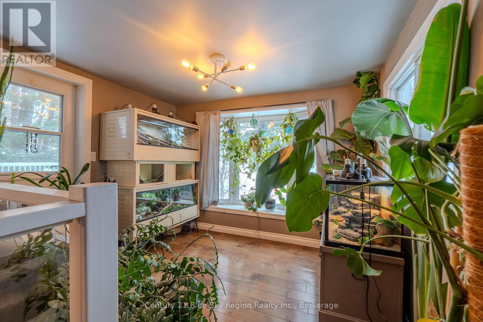 355 ANITA AVENUE Image 14