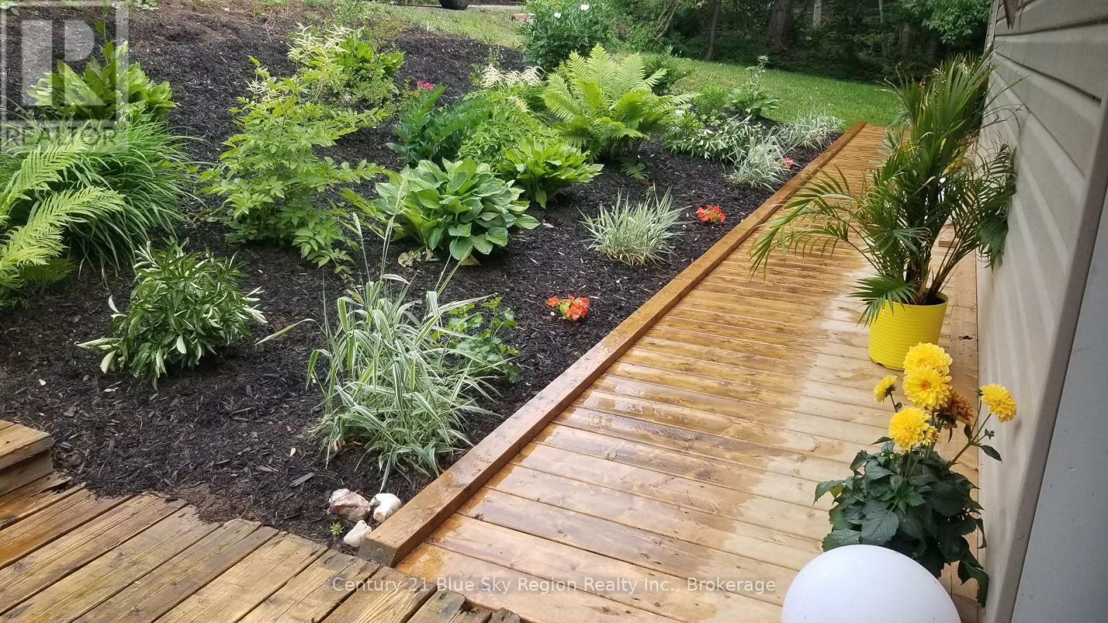 355 ANITA AVENUE Image 42