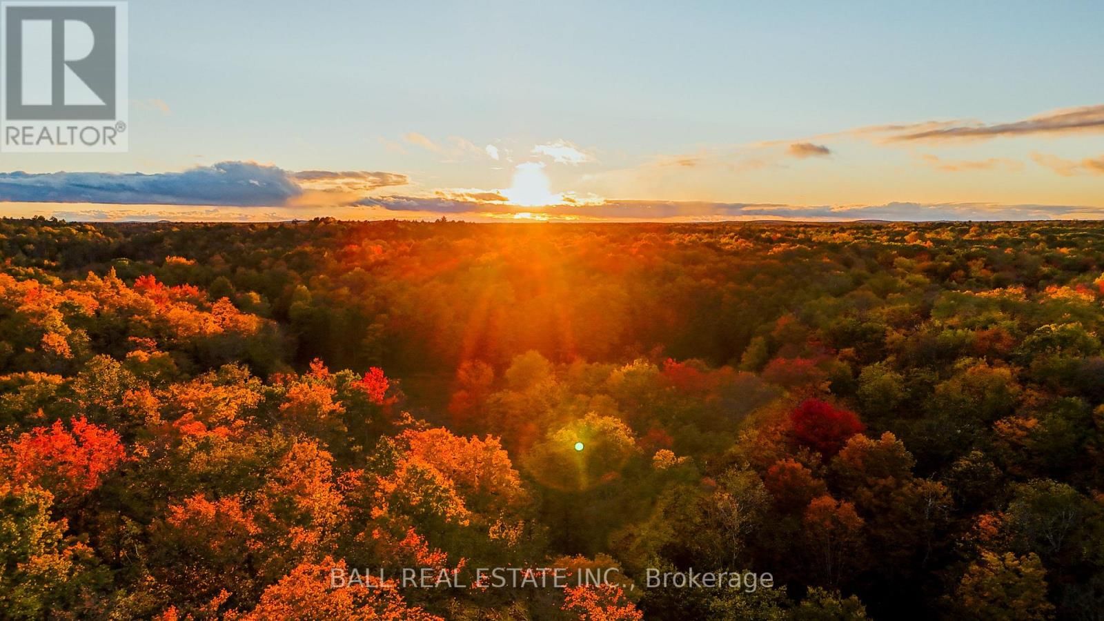 4107 COUNTY RD 507 Image 38