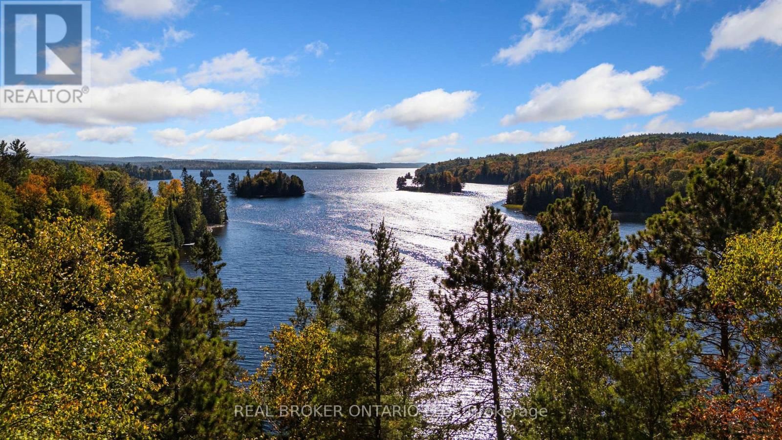 67 BIRCH HILL LANE Image 46