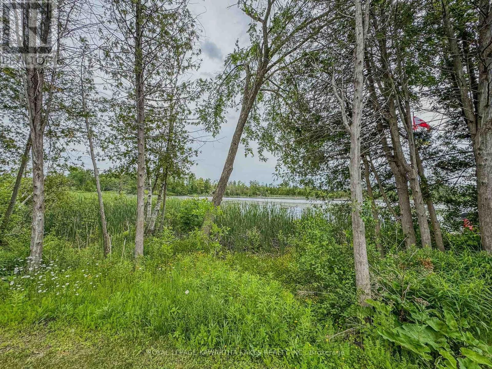 WV19 - 657 THUNDER BRIDGE ROAD Image 16