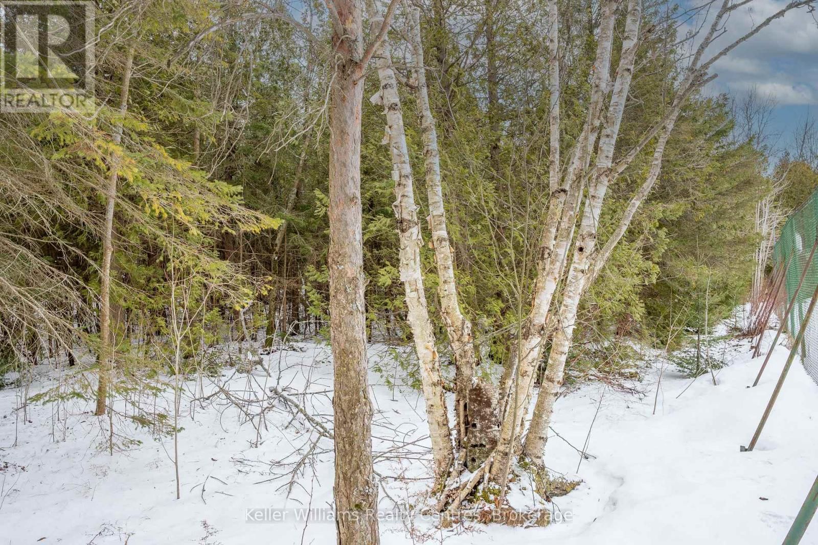 74 LONELY ISLAND DRIVE Image 11