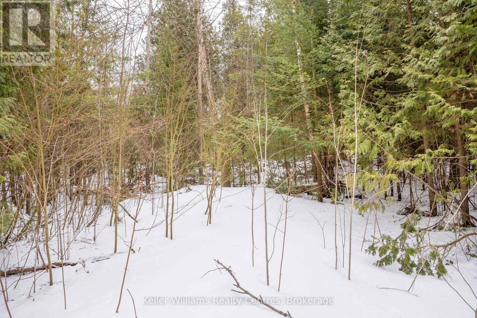 74 LONELY ISLAND DRIVE Image 13