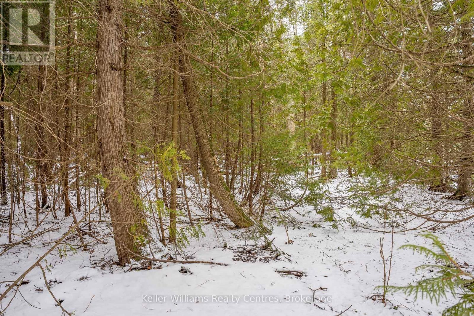 74 LONELY ISLAND DRIVE Image 14