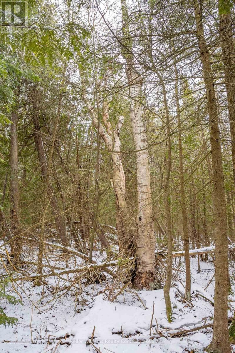 74 LONELY ISLAND DRIVE Image 15