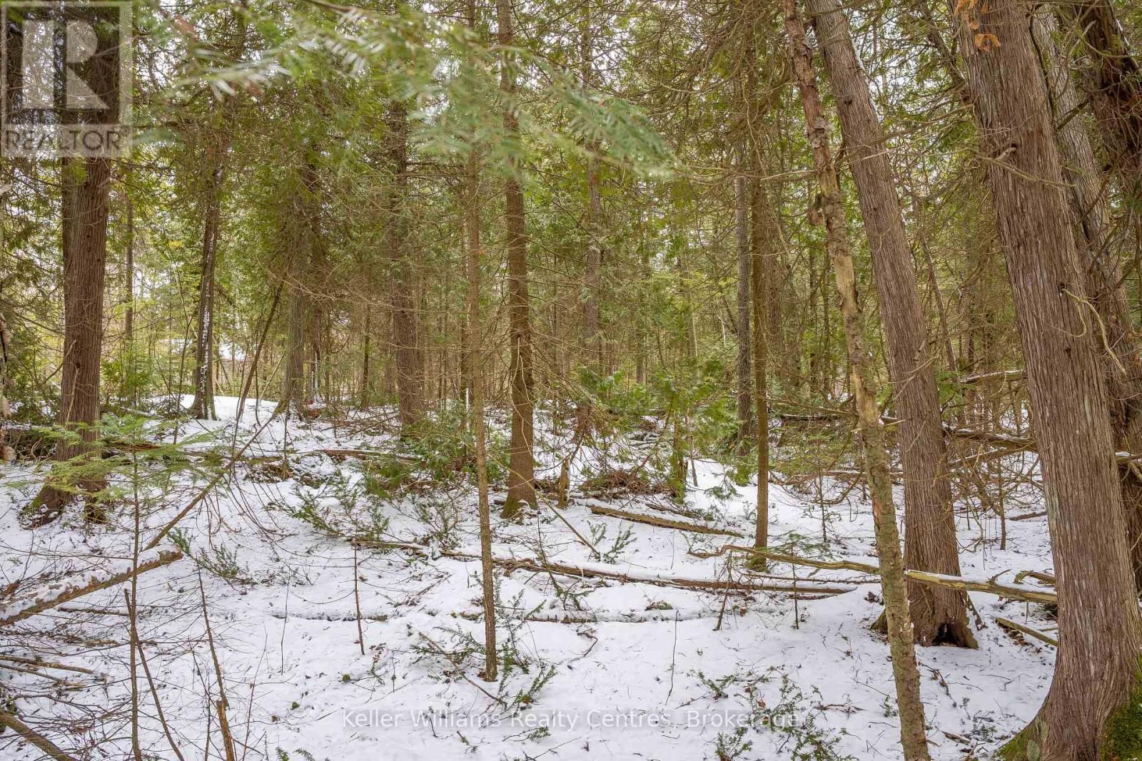 74 LONELY ISLAND DRIVE Image 16