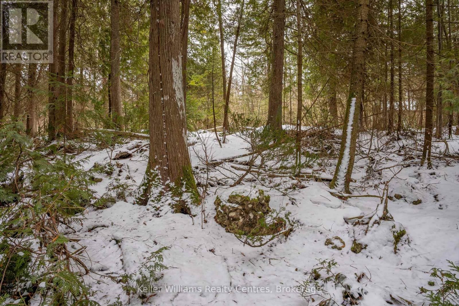 74 LONELY ISLAND DRIVE Image 17