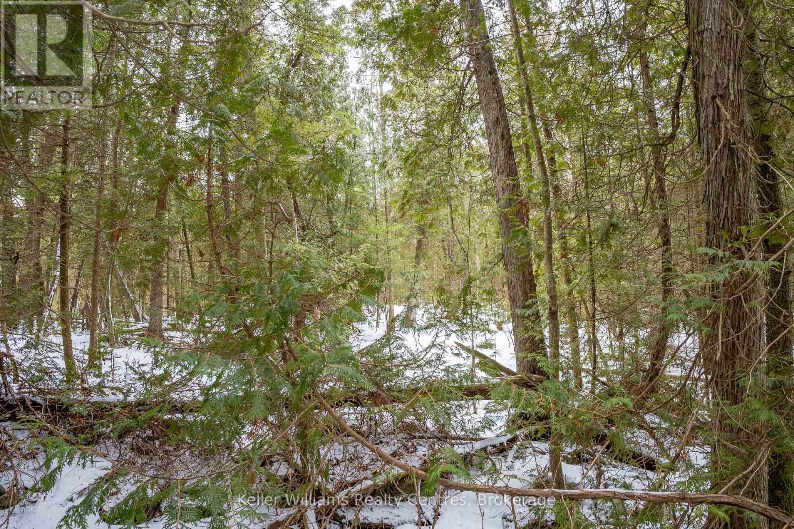 74 LONELY ISLAND DRIVE Image 18