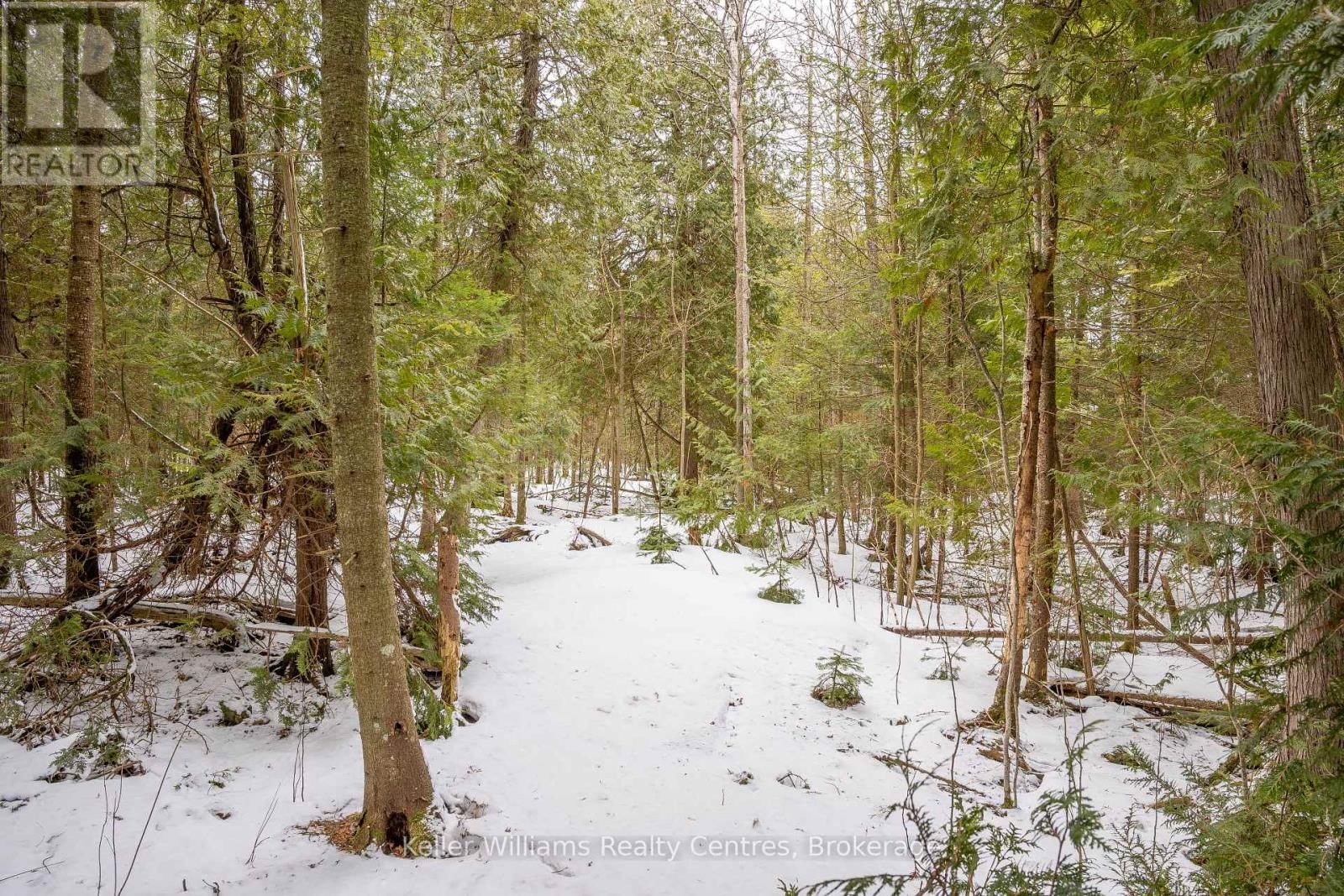 74 LONELY ISLAND DRIVE Image 19