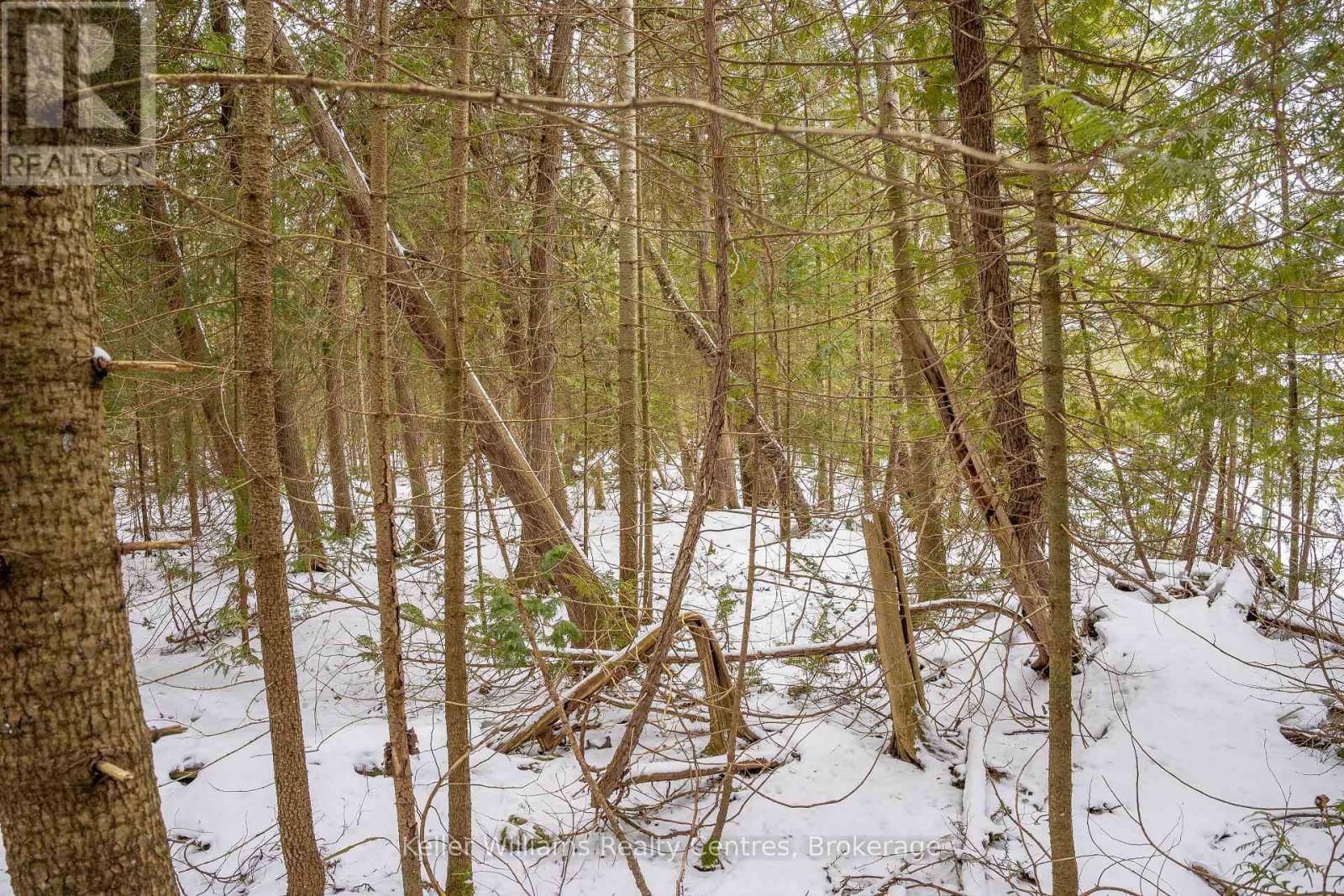 74 LONELY ISLAND DRIVE Image 20