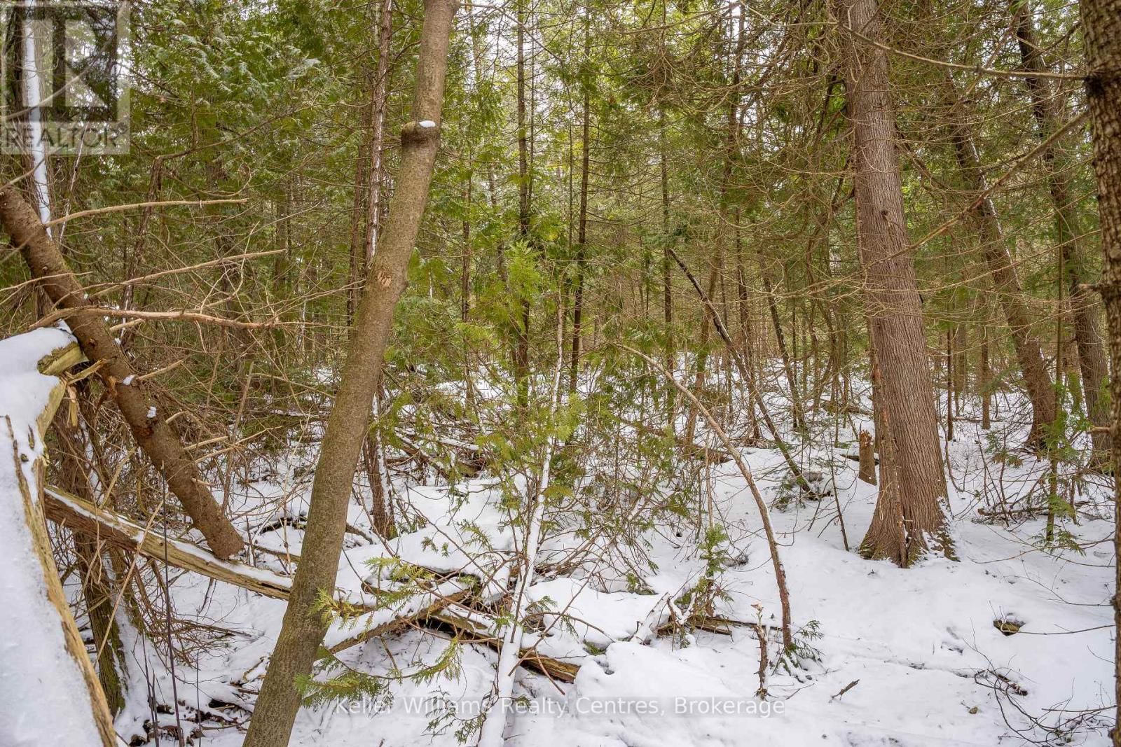 74 LONELY ISLAND DRIVE Image 21