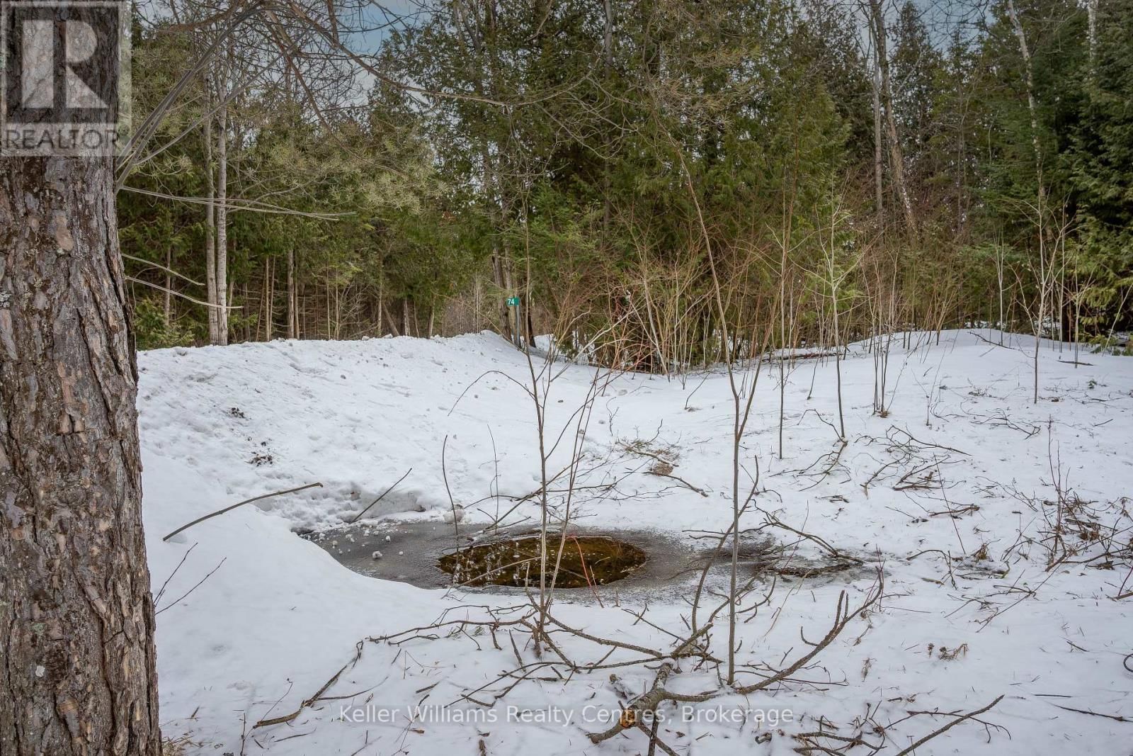 74 LONELY ISLAND DRIVE Image 23