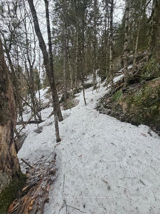 107 BALSAM CHUTES ROAD Image 23