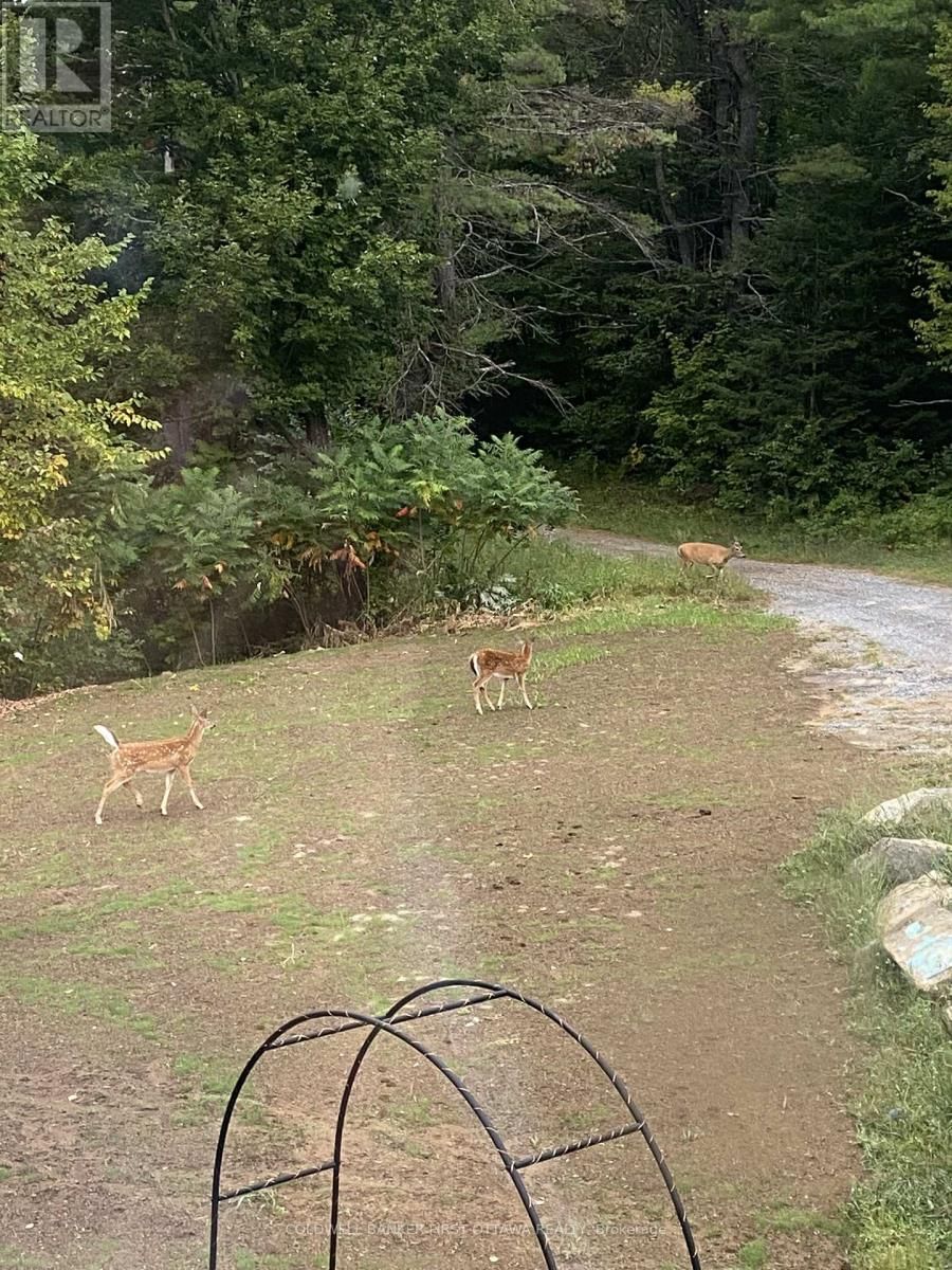 946 FRENCH LINE ROAD Image 14