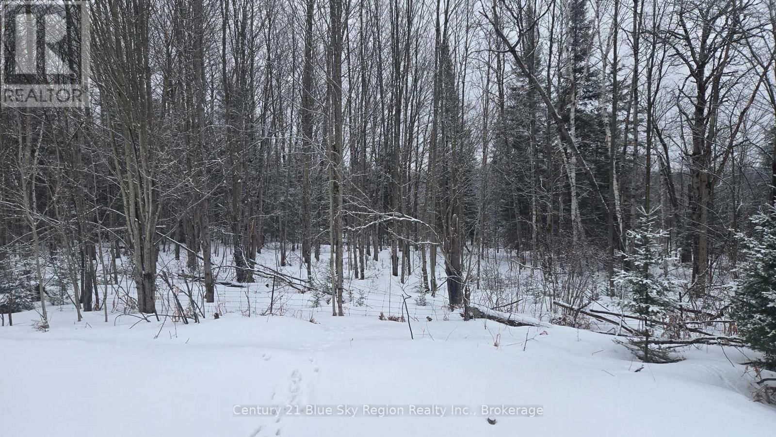 HIGHWAY 654 Image 11