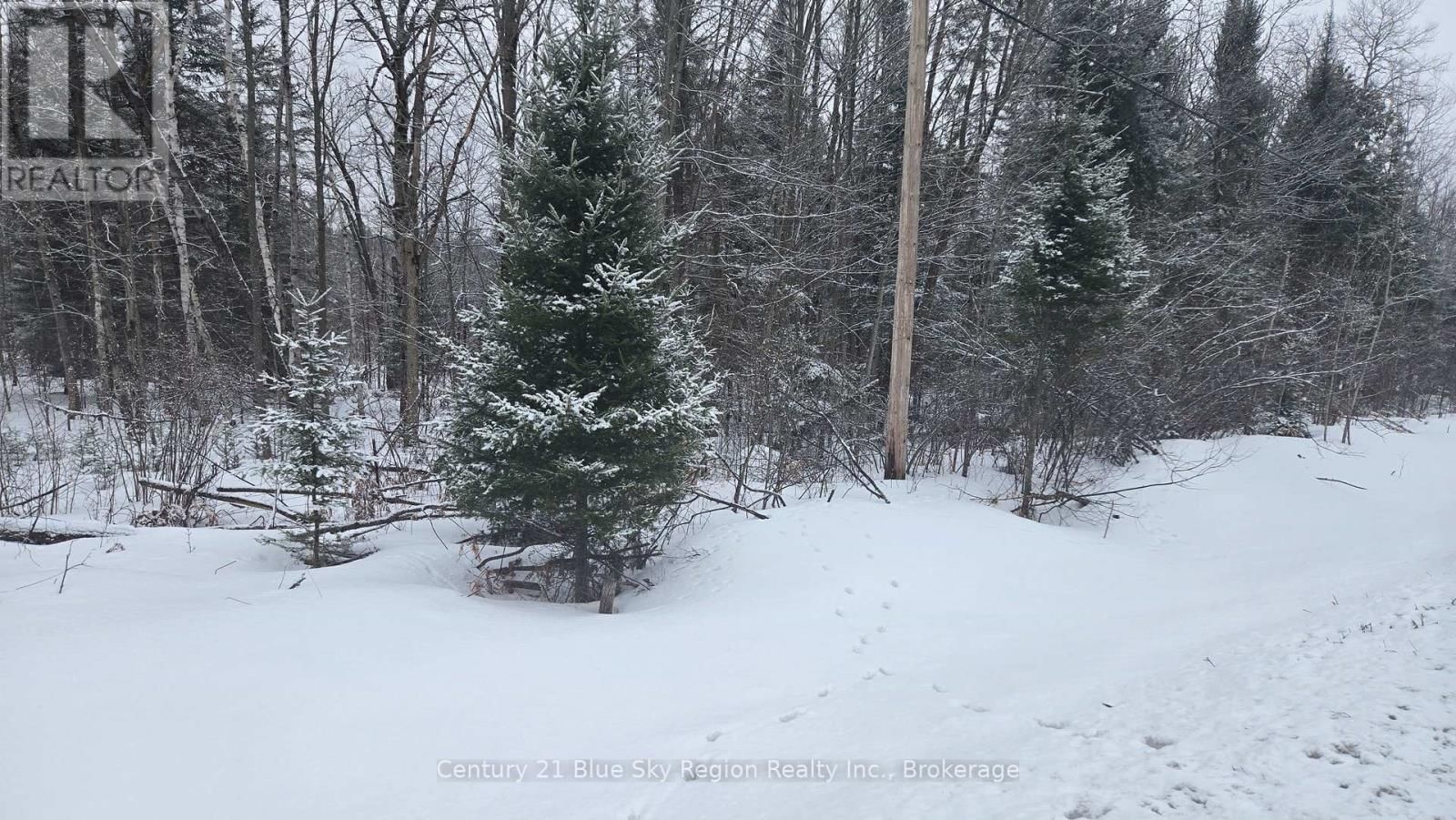 HIGHWAY 654 Image 12