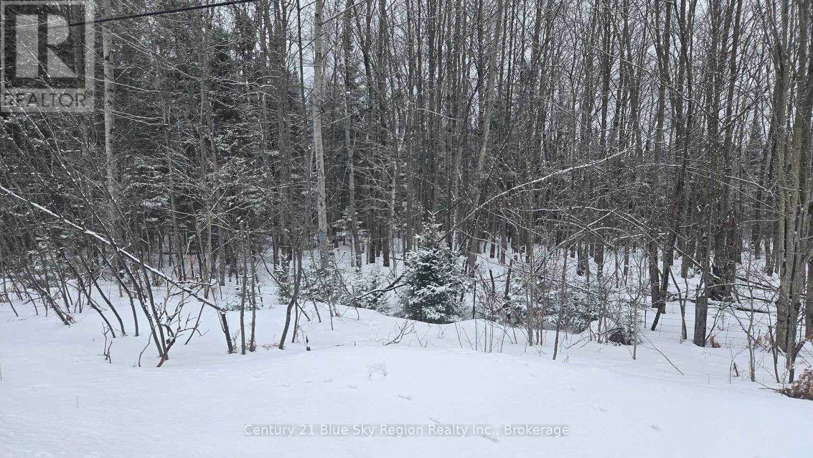 HIGHWAY 654 Image 13