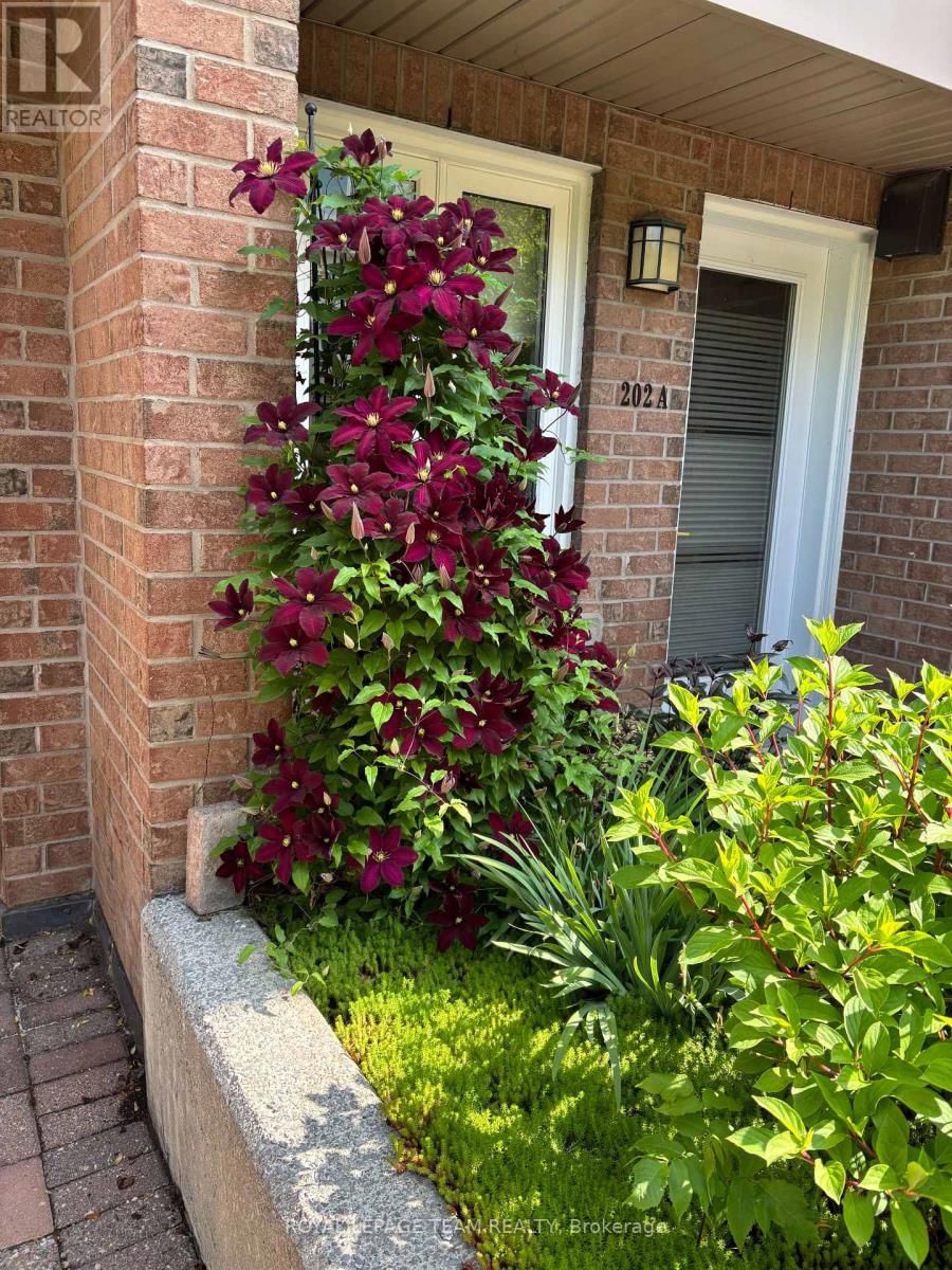 202A - 62 DONALD STREET Image 32