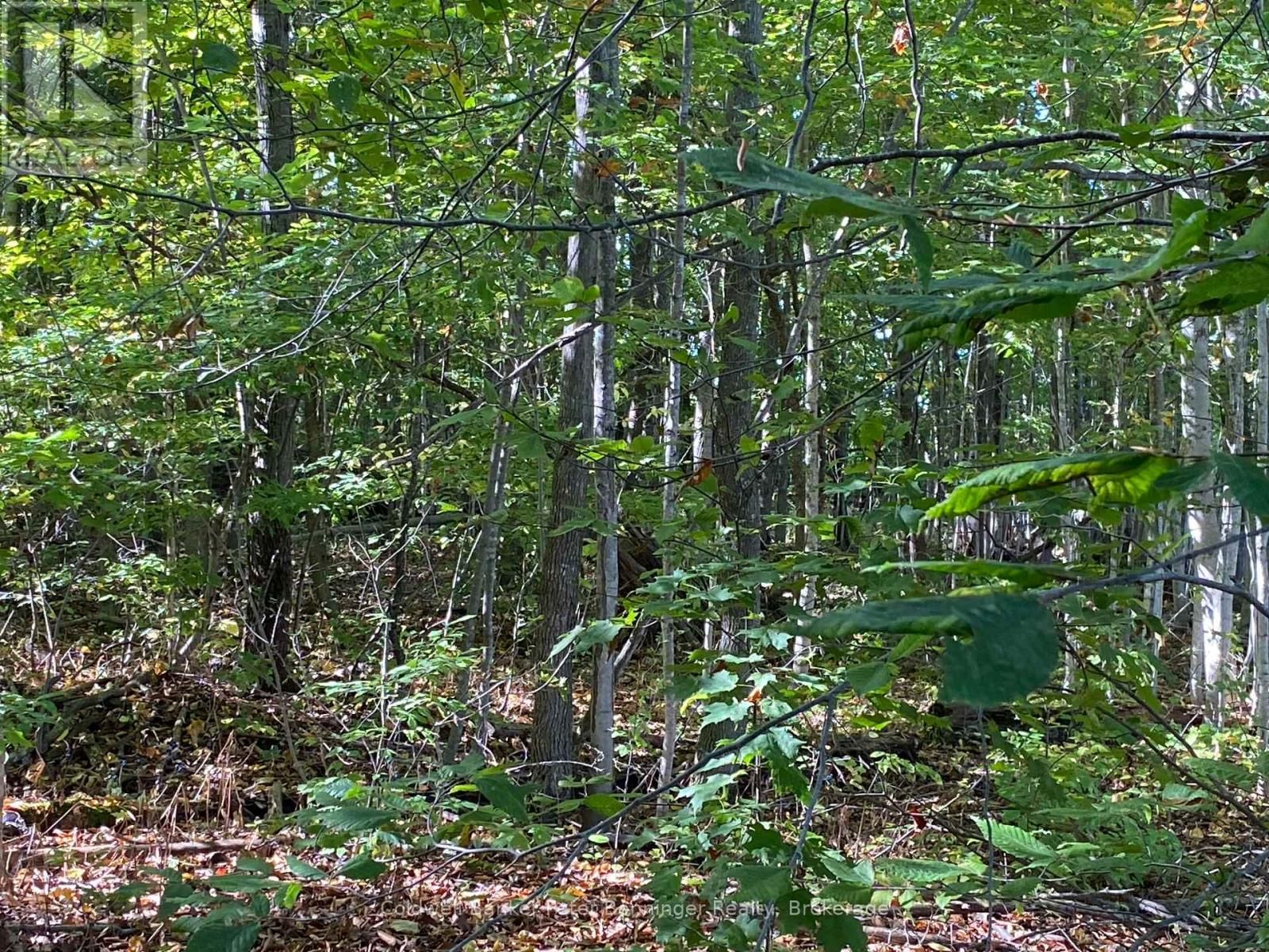 1315 CONCESSION 8 CORNERS Image 31