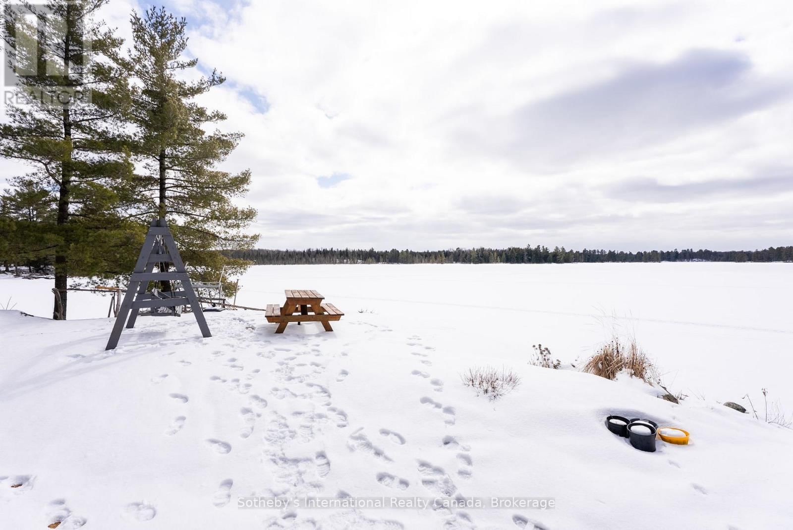 3301B AXE LAKE ROAD Image 40