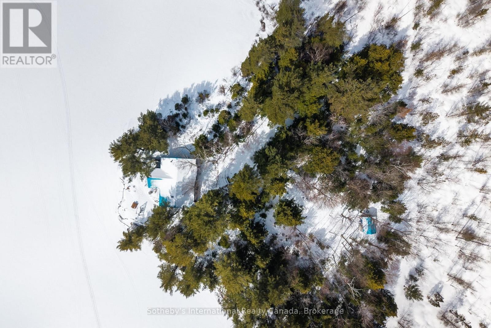 3301B AXE LAKE ROAD Image 6