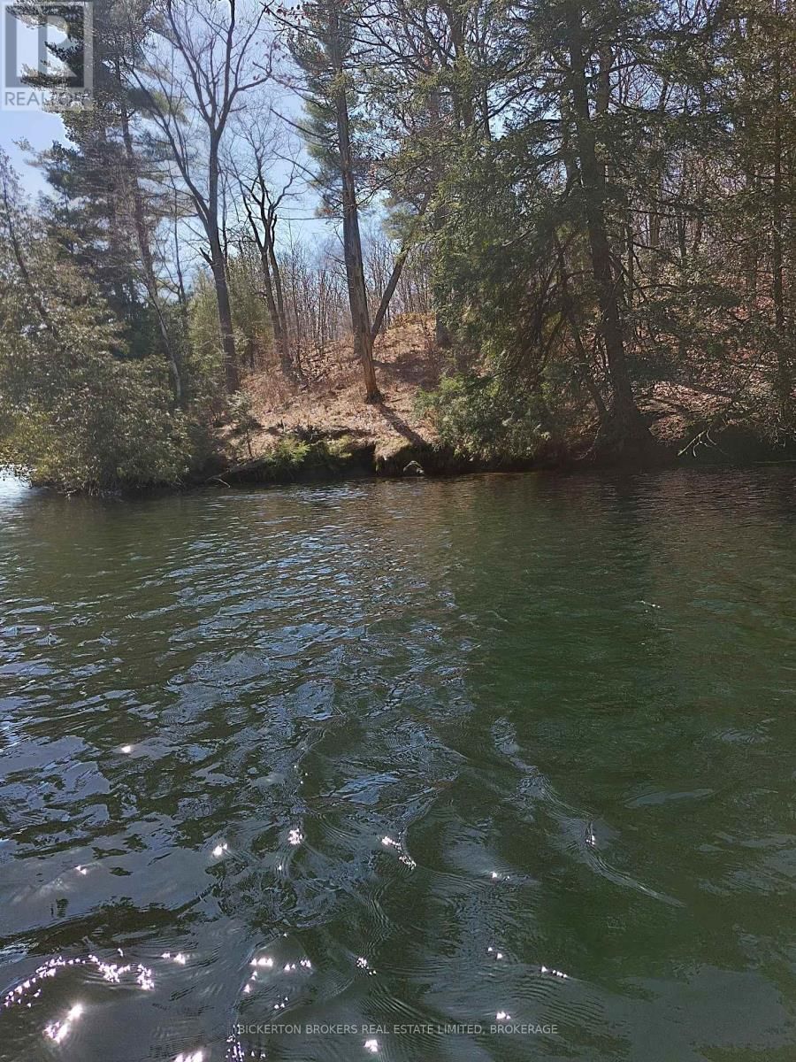 0 MURPHY'S ISLAND Image 11