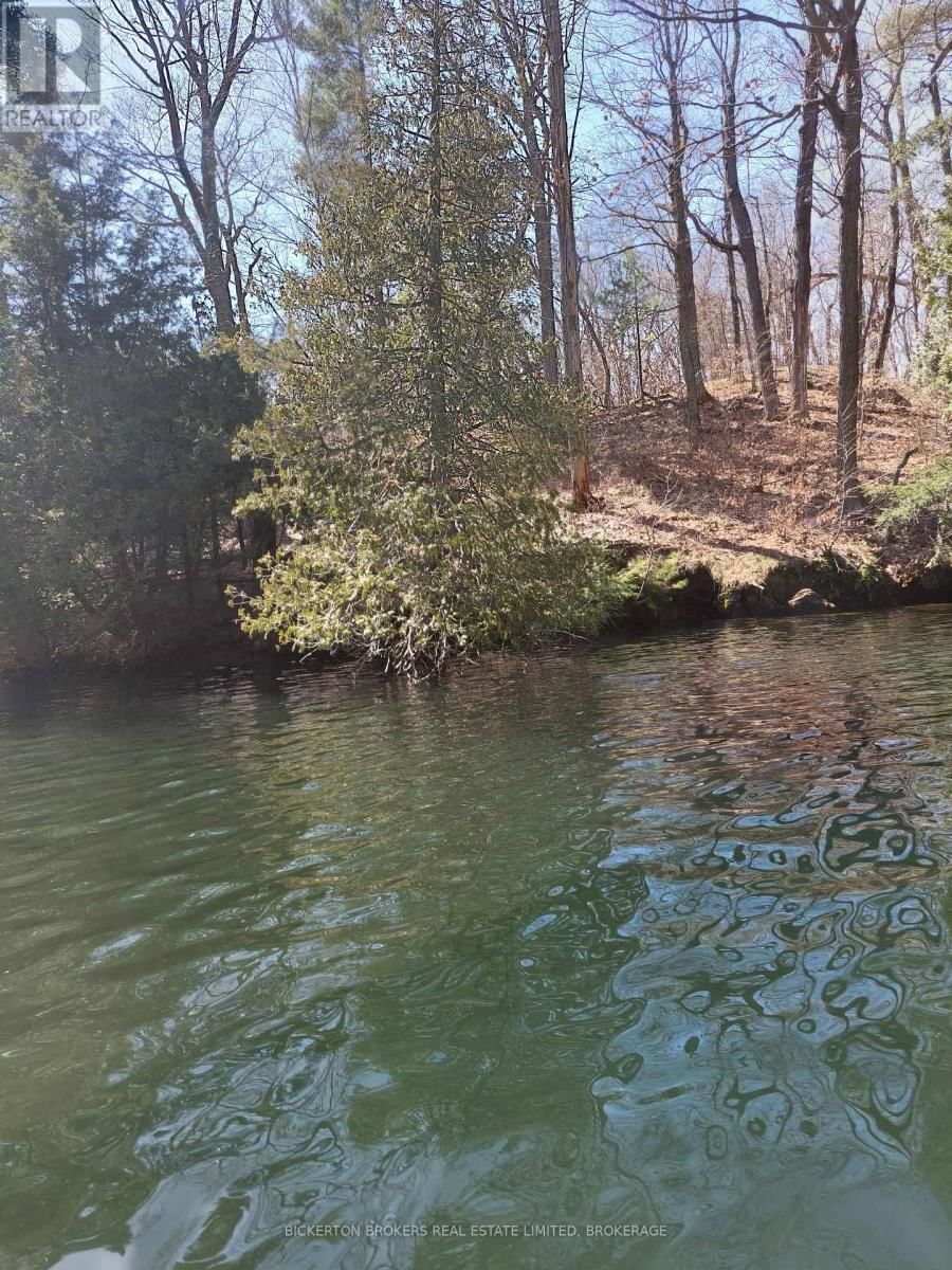 0 MURPHY'S ISLAND Image 12