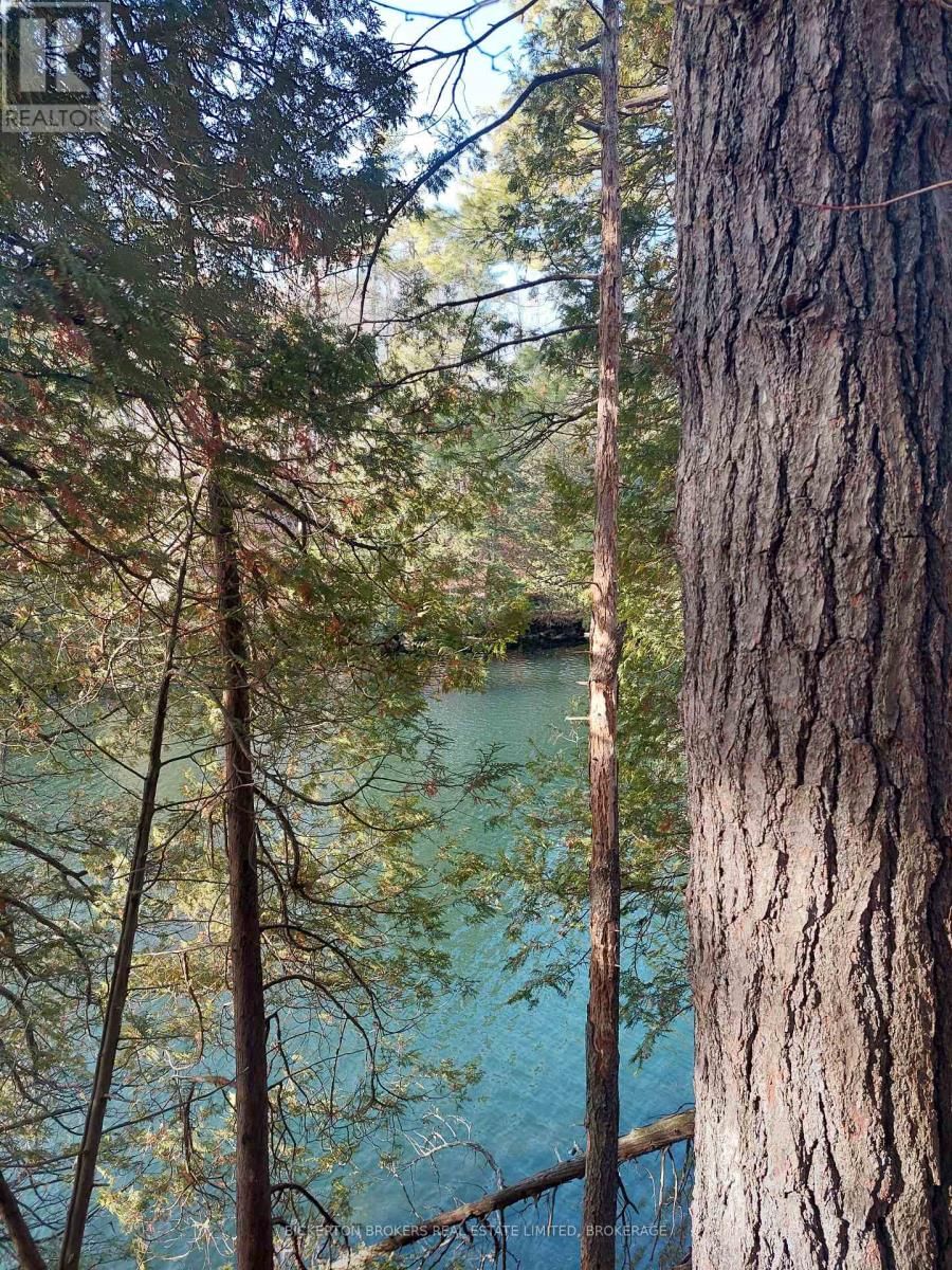 0 MURPHY'S ISLAND Image 3