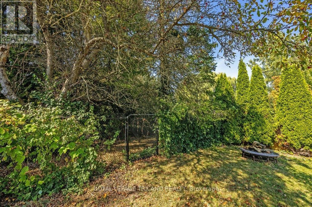 139 SKYLINE AVENUE Image 47