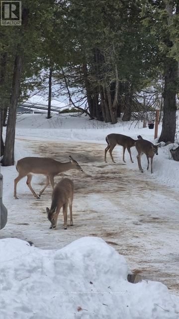 12 CHERRY LANE Image 47