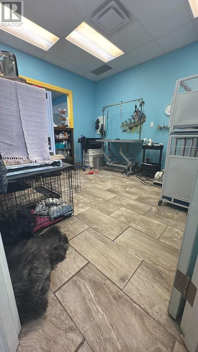 4 - 595 CARLTON STREET Image 15