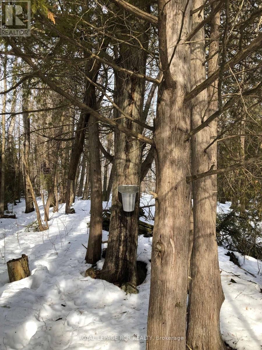 5823 EIGHTH LINE Image 49