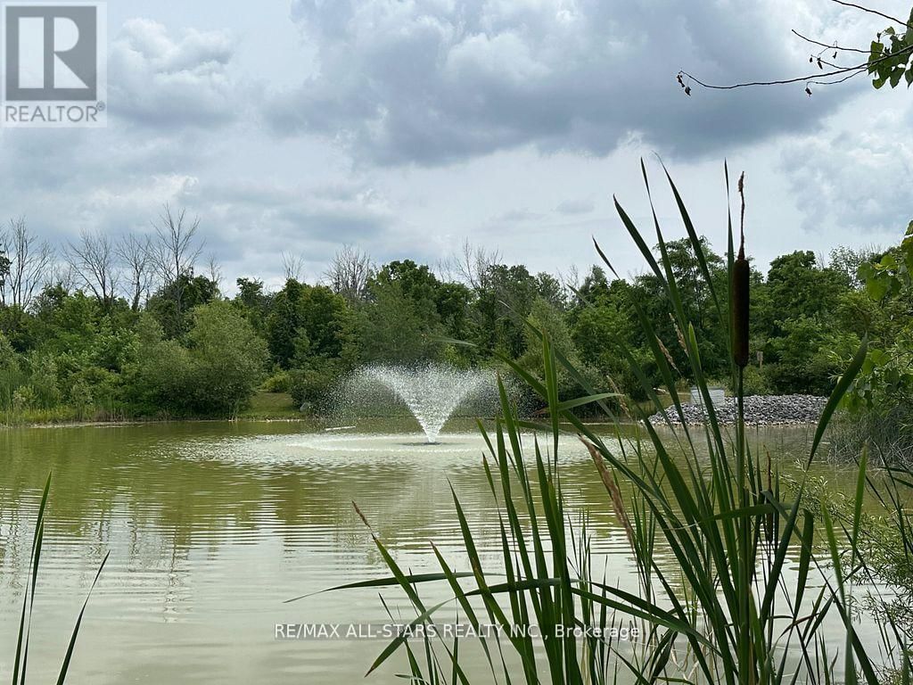 6 - 21 HAMPTON LANE Image 30