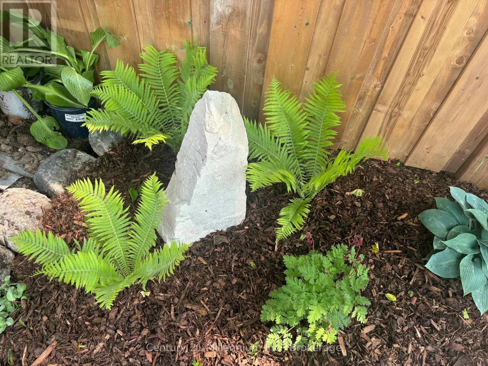 251 WILLIAM STREET Image 31