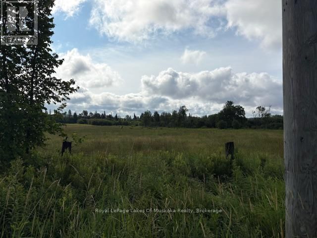 0 OLD MUSKOKA TO THE WEST SIDE OF #1105 ROAD Image 3