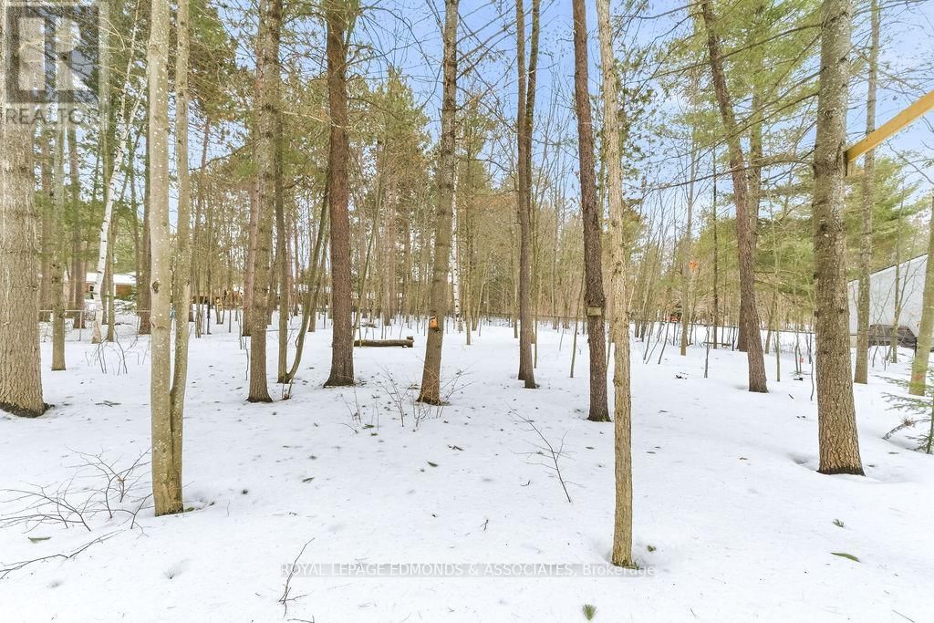 15 MCKAY STREET Image 11