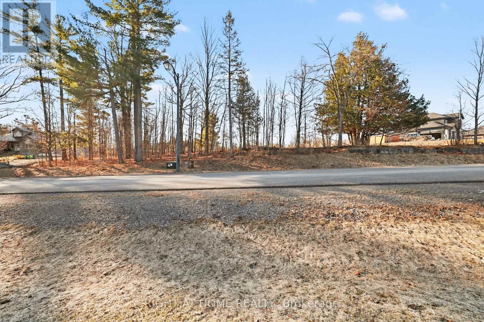 1041 JULIA COURT Image 5