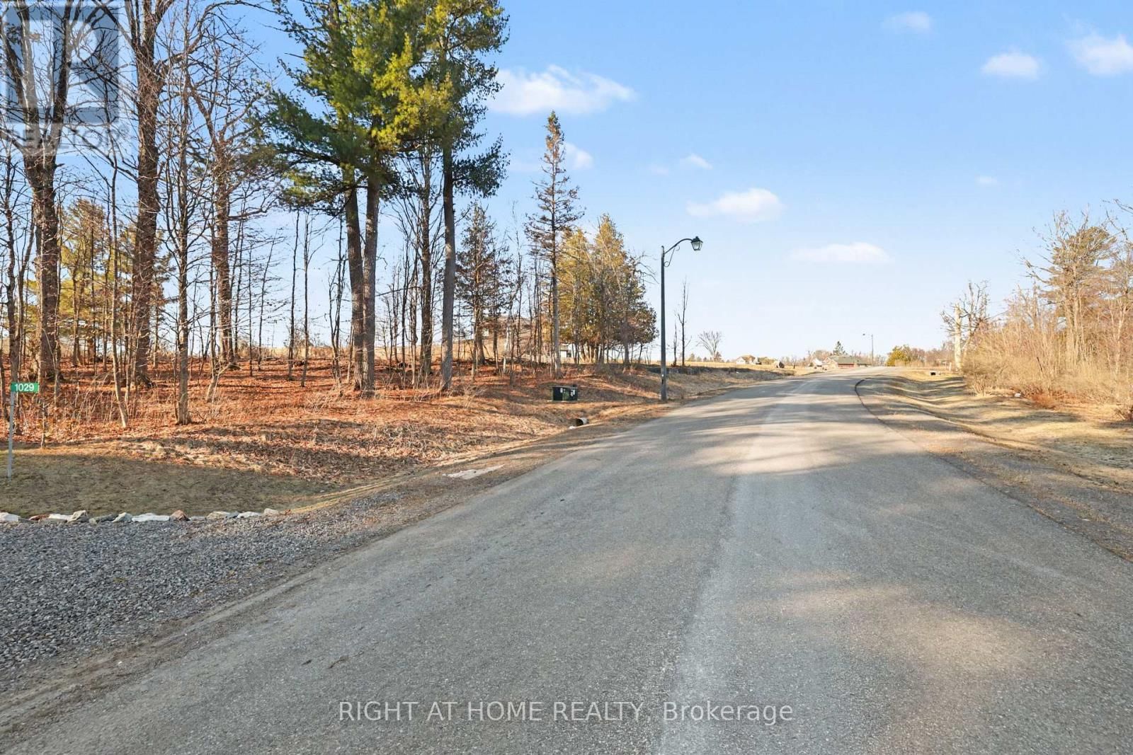 1041 JULIA COURT Image 8