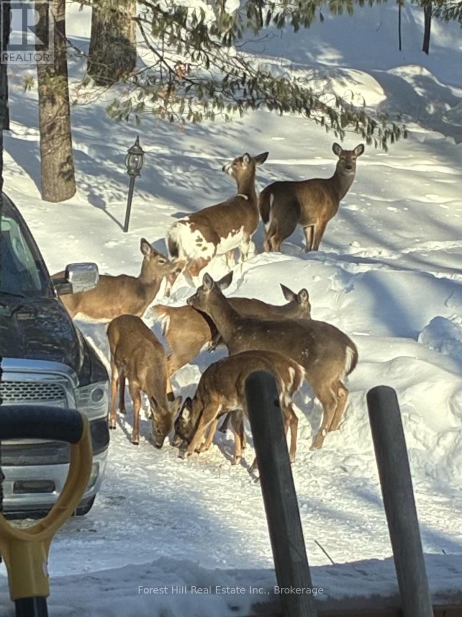 1289 DELBROOKE ROAD SOUTH Image 4