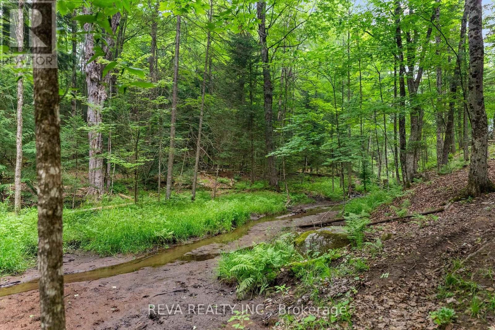 78 BRIDGE STREET EAST Image 29