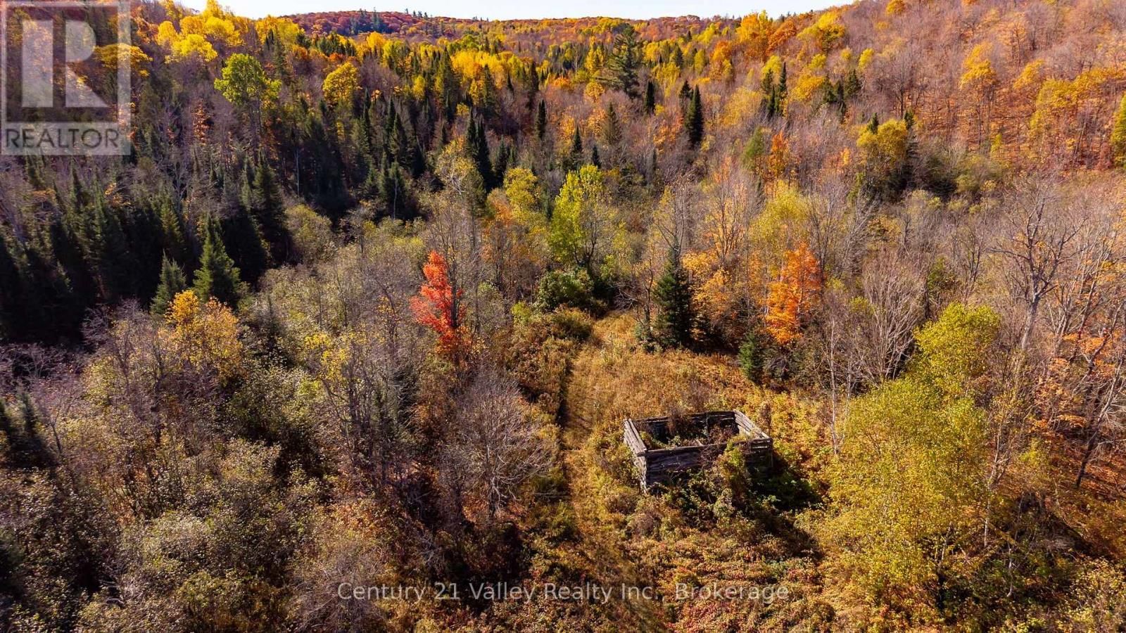 170 SHAVENS LAKE ROAD Image 35