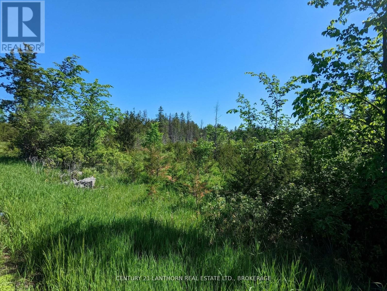 0 PINE GROVE ROAD Image 18