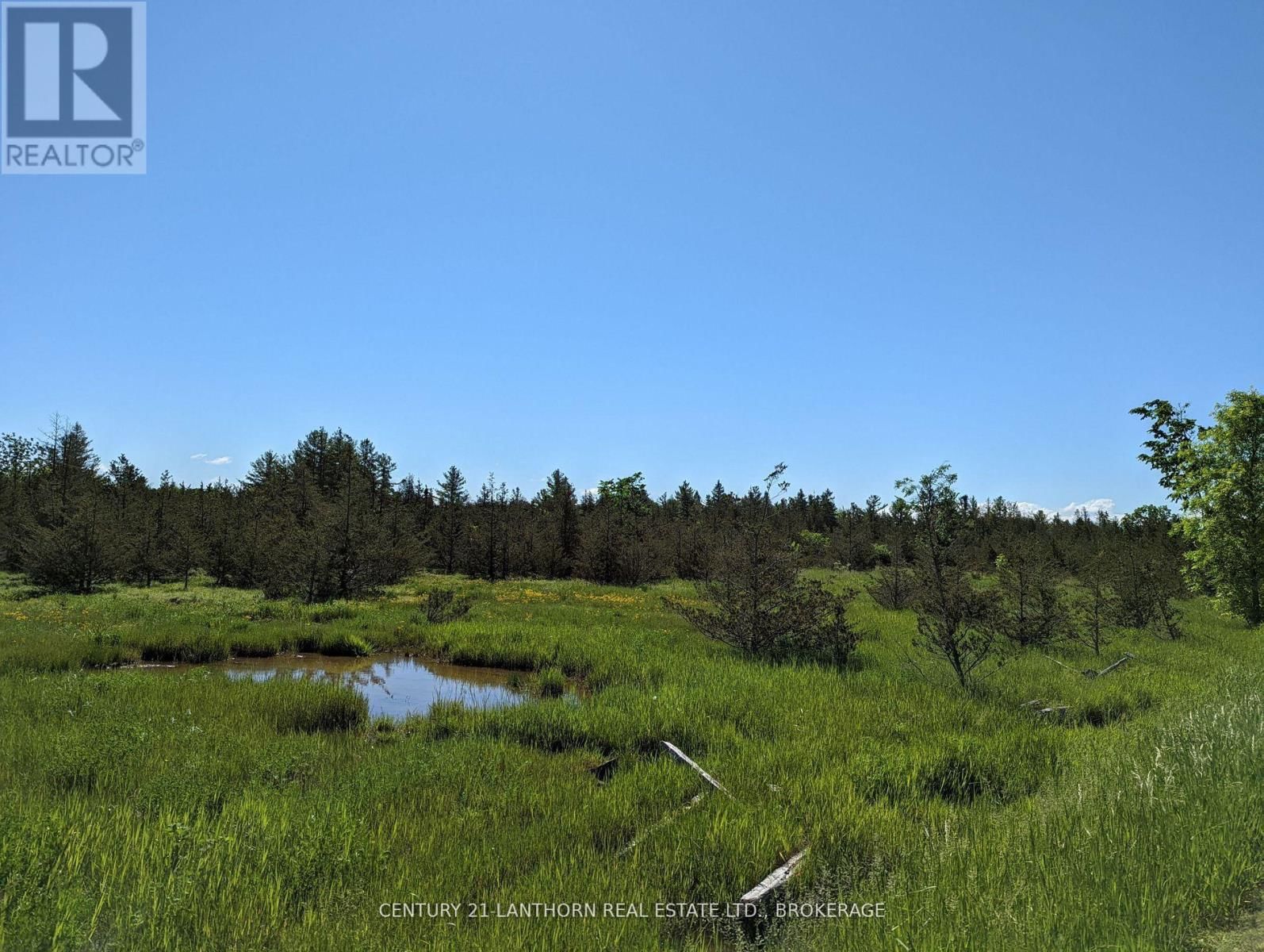 0 PINE GROVE ROAD Image 22