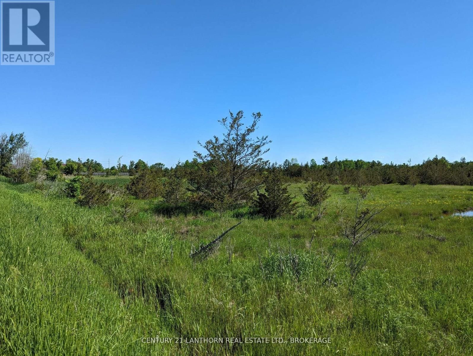 0 PINE GROVE ROAD Image 25