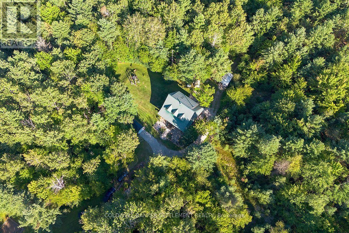 295 STANLEY ROAD Image 39