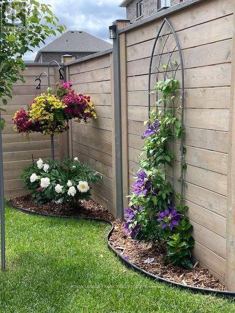 527 MACINTOSH GROVE Image 46