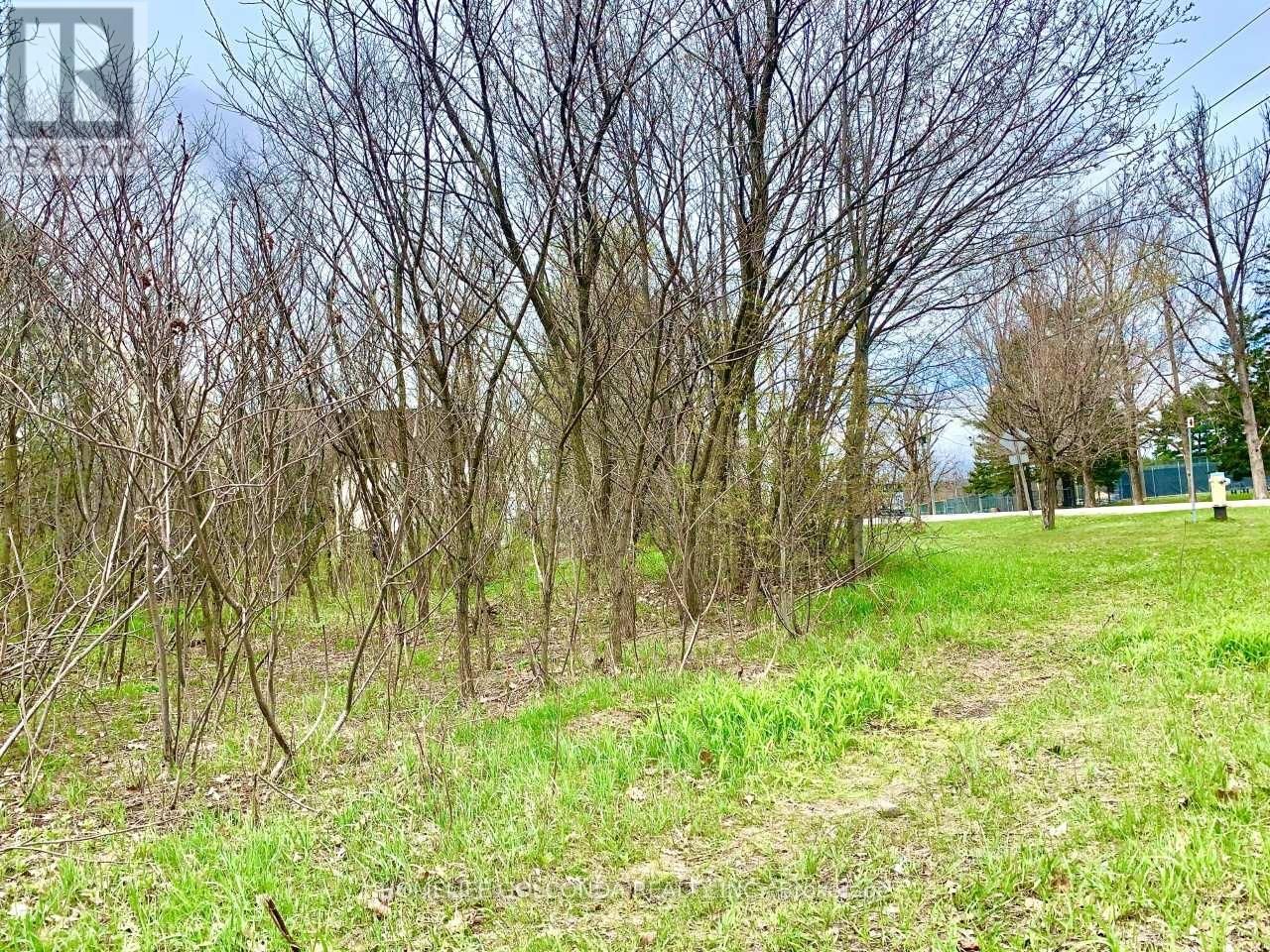 LT 46 PHILLIP STREET EAST Image 3