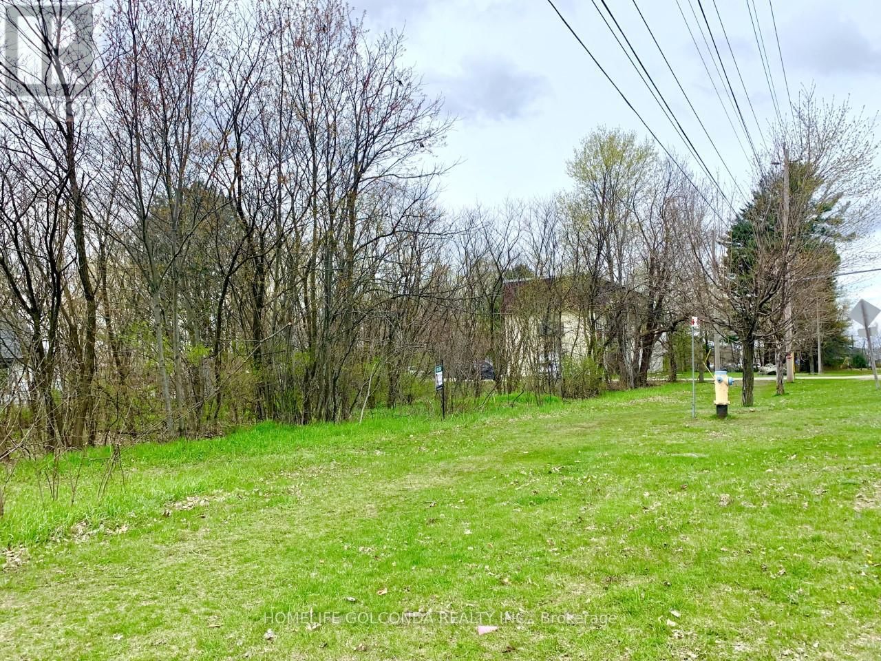 LT 46 PHILLIP STREET EAST Image 4